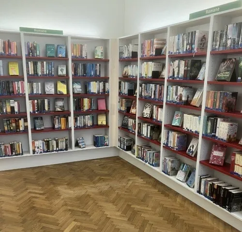 Furniture, Bookcase, Book, Publication, Person, Indoors, Library