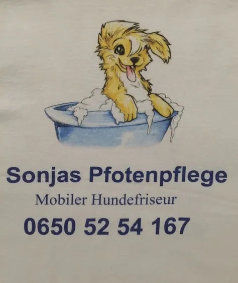 Animal, Canine, Mammal, Advertisement, Pet, Dog, Bird