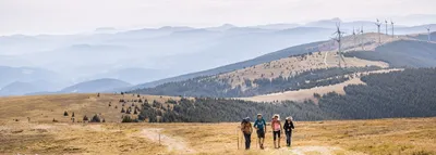 Hiking, Nature, Outdoors, Person, Scenery, Walking, Landscape, Windmill, Wilderness, Bag
