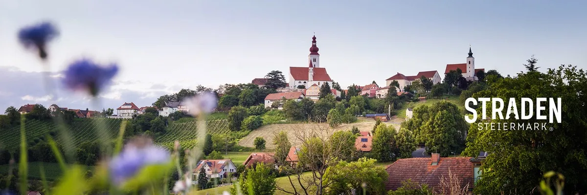 Ein malerisches Dorf mit einem roten Kirchturm, umgeben von üppigem Grün und Weinbergen unter einem klaren Himmel.