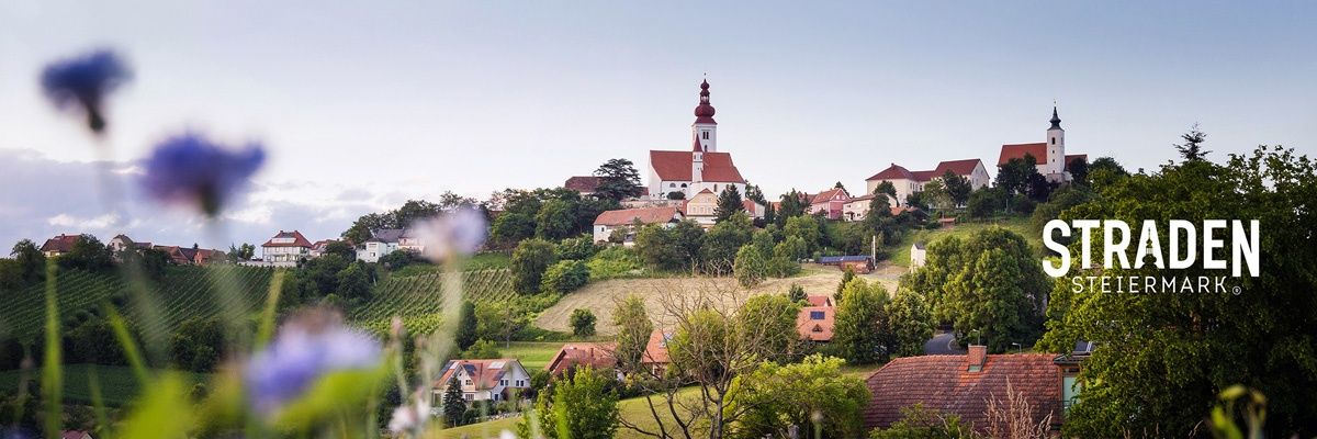 Ein malerisches Dorf mit rot gedeckten Häusern und einem Kirchturm vor der Kulisse saftiger grüner Hügel und klaren blauen Himmels.