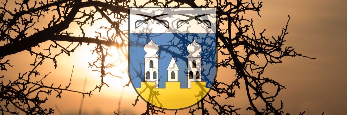 Ein heraldisches Wappenschild mit blauem und gelbem Hintergrund, das drei weiße Türme und gekreuzte Schwerter darüber zeigt. Der Schild wird von kahlen Baumzweigen umrahmt.