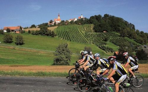 Eine Gruppe von Radfahrern fährt auf einer Straße mit einem Weinberg und einem Dorf im Hintergrund.