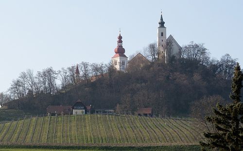 Eine Kirche mit zwei Türmen steht auf einem Hügel und überblickt ein Weingut.