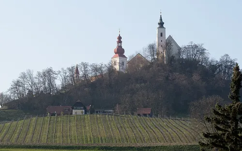 Eine Kirche mit zwei Türmen steht auf einem Hügel und überblickt ein Weingut.