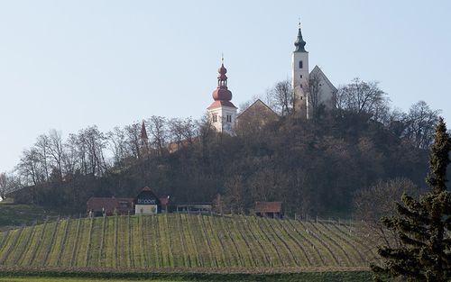Eine Kirche mit zwei Türmen steht auf einem Hügel und überblickt ein Weingut.