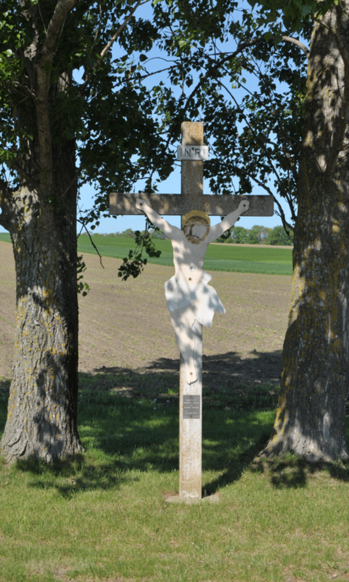 Ein weißes Kruzifix steht zwischen zwei Bäumen auf einem ländlichen Feld. Das Kreuz trägt die Initialen INRI und eine kleine Plakette an seiner Basis.
