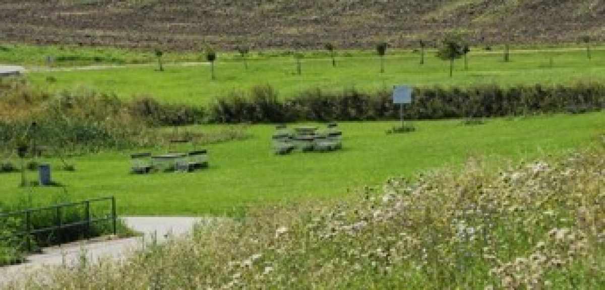 Ein weites grünes Feld mit Bienenstöcken und einem Schild in der Ferne. Das Feld ist von Büschen und Bäumen umgeben.