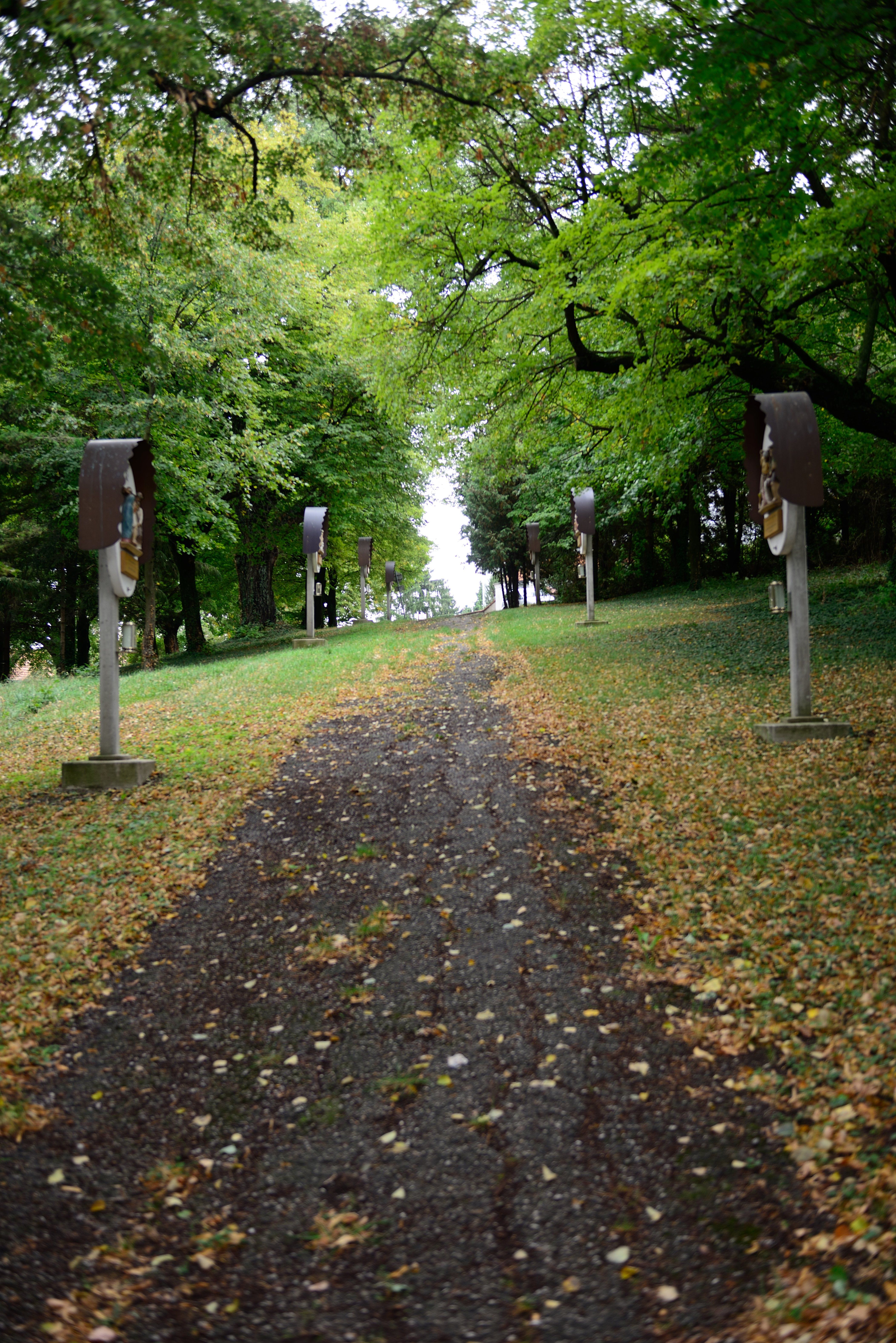 Ein schmutziger Pfad in einem Park ist mit Steinsäulen gesäumt, die jeweils mit einer Metallplatte gekrönt sind. Der Weg ist von üppigem Grün umgeben, und gefallene Blätter bedecken den Boden. Der Himmel ist klar, und in der Ferne säumen Bäume den Horizont.