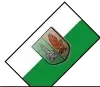 Eine grün-weiße Flagge mit einem Wappen, das einen roten Fisch und ein graues Flugzeug in der Mitte zeigt, auf schwarzem Hintergrund.