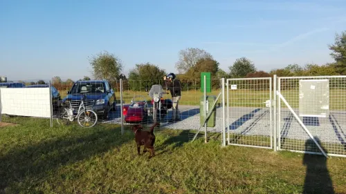 Eine Person mit Helm und Handschuhen steht neben einem Motorrad mit Beiwagen. Ein brauner Hund geht in der Nähe eines Zauns. Ein Auto und ein Fahrrad sind in der Nähe geparkt.