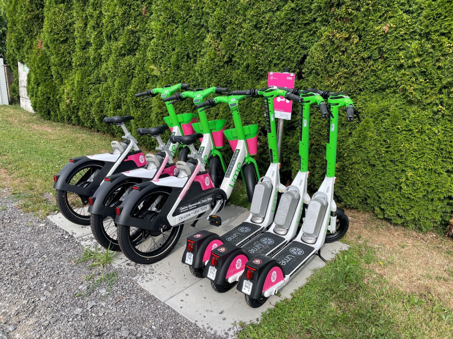 Eine Reihe von Elektrorollern ist auf einem Betonpodest mit grünen und pinkfarbenen Farben geparkt. Die Roller haben ein pink-weißes Design mit dem Wort Lime auf der Rückseite.