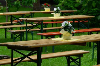 Table, Grass, Tabletop, Flower, Flower Arrangement, Dining Table, Wood, Flower Bouquet, Interior Design, Potted Plant