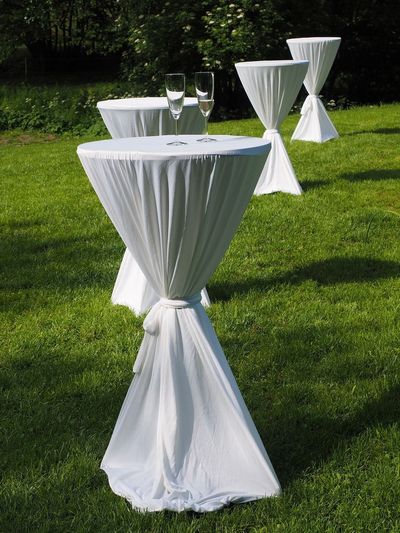 Grass, Tablecloth, Lawn, Table, Tabletop, Adult, Bride, Female, Person, Woman