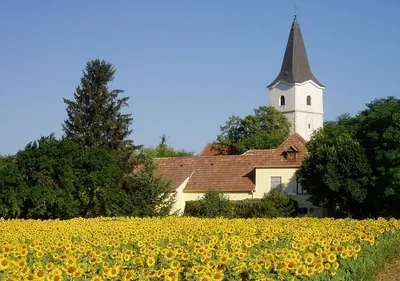 Spire, Bell Tower, Grass, Tree, Flower, Vegetation, Villa, Outdoors, Clock Tower, Nature