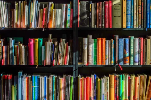 Furniture, Shelf, Bookcase, Book, Indoors, Library, Publication