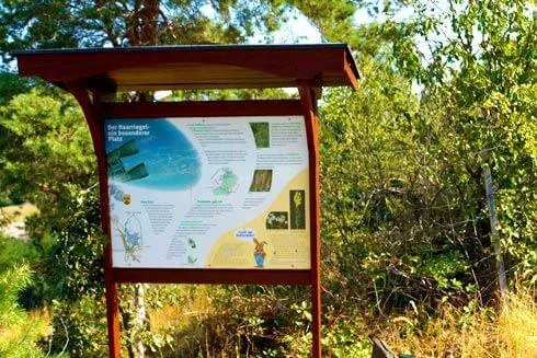Ein Schild mit einem blau-weißen Plakat steht in einem Wald. Das Plakat enthält Text und Bilder. Bäume umgeben das Schild.