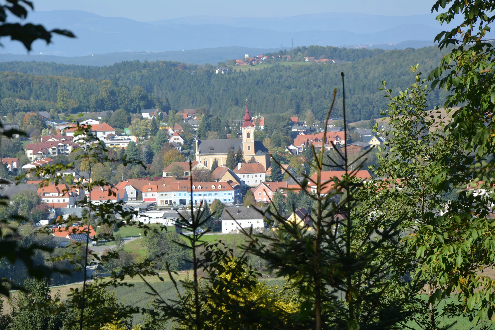 website banner