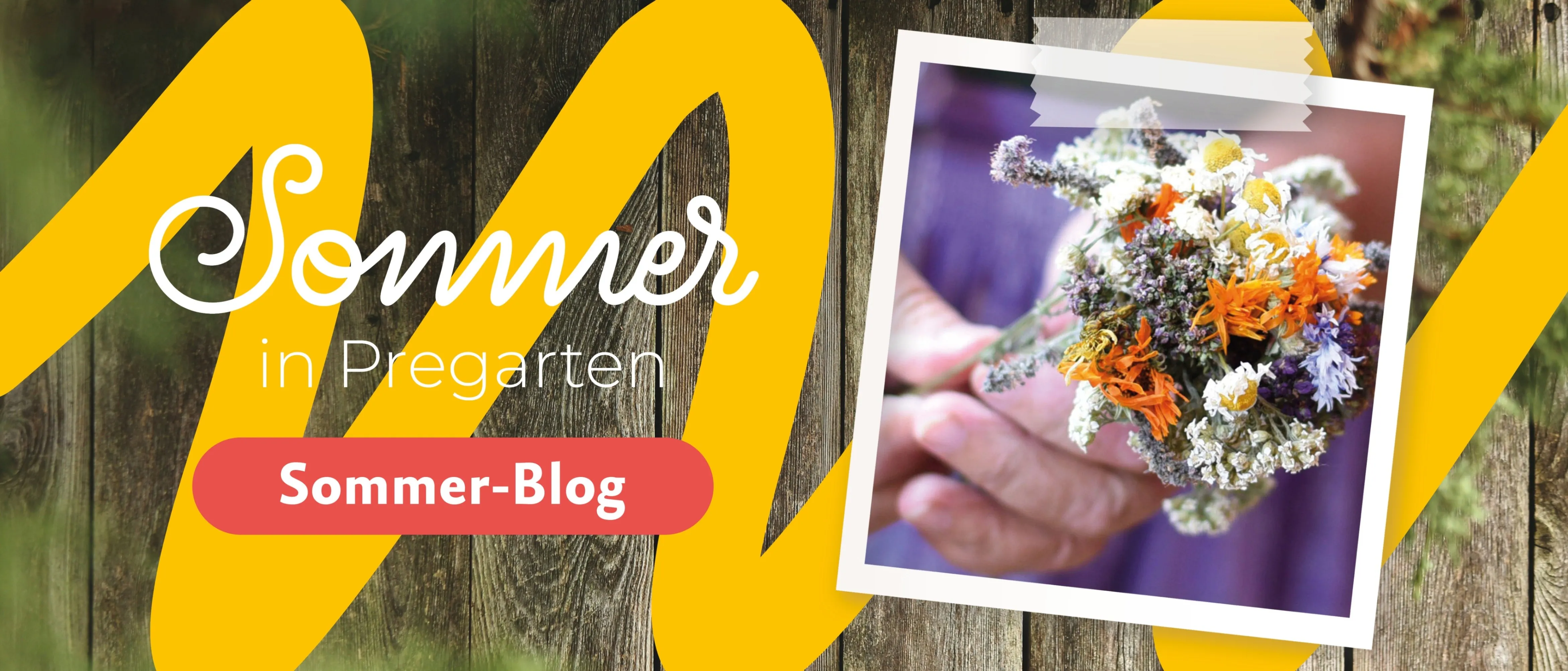 Eine Hand hält einen Strauß getrockneter Blumen. Im Hintergrund ein Holzzaun und das Wort 'Sommer' in Gelb.