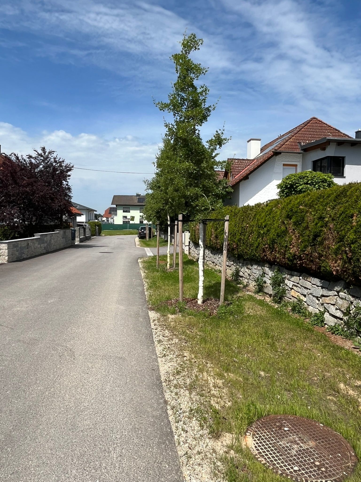 Eine ruhige Wohnstraße mit Häusern und Grünflächen. Die Straße ist leer, und ein Auto ist am Ende geparkt. Bäume und Büsche säumen die Seiten.