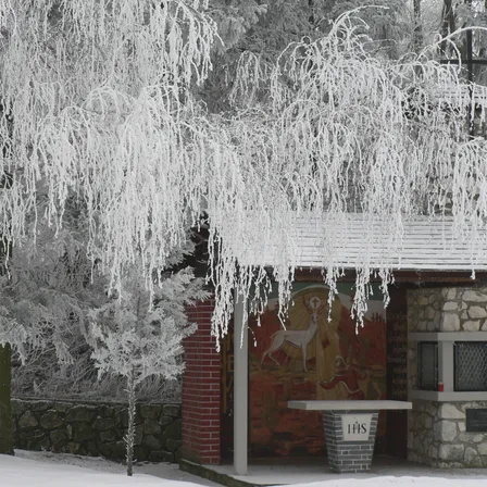 Tree, Building, Outdoors, Shelter, Nature, Weather, Ice, Hut, Snow, Frost