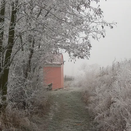 Nature, Outdoors, Weather, Ice, Frost, Snow