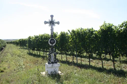 Cross, Symbol, Outdoors, Nature, Countryside, Rural, Farm, Vineyard, Person, Graveyard
