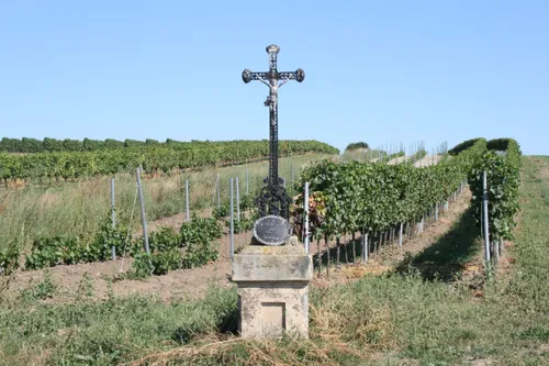 Nature, Outdoors, Countryside, Rural, Farm, Cross, Symbol, Vineyard, Graveyard