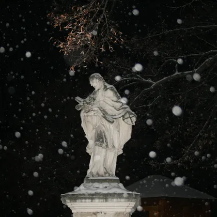 Outdoors, Nature, Adult, Bride, Female, Person, Woman, Art, Winter, Night