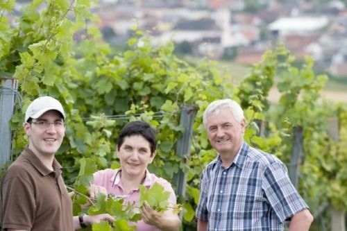 Bild enthält, Nature, Outdoors, Countryside, Rural, Farm, Vineyard, Adult, Male, Man, Person
