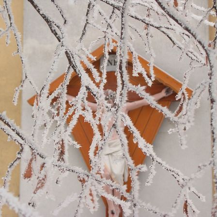 Bild enthält, Ice, Nature, Outdoors, Weather, Cross, Symbol, Plant, Frost, Snow