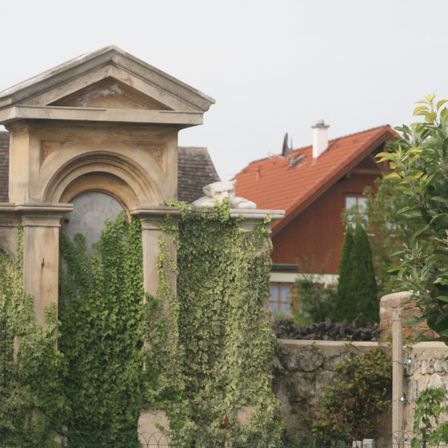 Bild enthält, Architecture, Building, Monastery, House, Housing, Roof, Plant, Tree, Ivy