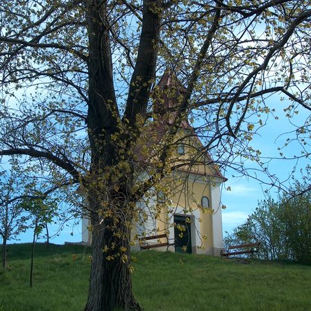 Bild enthält, Tree, Tree Trunk, Grass, Building, Outdoors, Shelter, Countryside, Nature, Rural, Lawn
