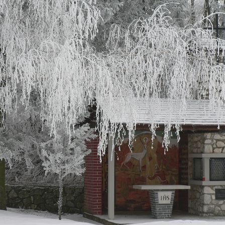 Bild enthält, Tree, Building, Outdoors, Shelter, Nature, Weather, Ice, Hut, Snow, Frost