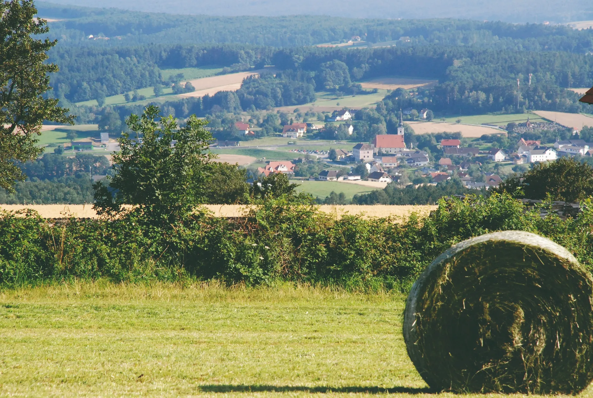 website banner