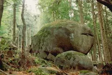 Eine große Felsformation mit Moos und grüner Vegetation steht in der Mitte eines dichten Waldes.