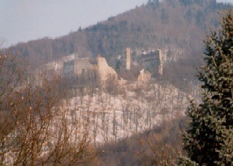 Ein entfernter Blick auf eine zerstörte Burg an einem nebligen Berghang, mit Bäumen und Laub im Vordergrund.