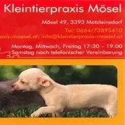 Ein Flyer für Kleintierpraxis Mösel, gelegen in Mosel 49, 3393 Motrizinsdorf. Er zeigt einen kleinen weißen Welpen im Gras. Die Praxis ist montags, mittwochs und freitags von 17:30 bis 19:00 Uhr geöffnet, samstags nach telefonischer Vereinbarung.