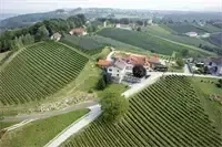 Eine Luftaufnahme eines Weinbergs mit einem Haus, umgeben von grünen Feldern, Bäumen und einer Straße im ländlichen Raum.