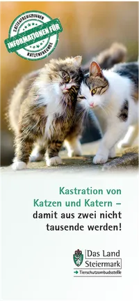 Ein Plakat zeigt zwei Katzen, die sich gegenüberstehen, eine mit braun-weißem Fell, die andere mit schwarz-weißem Fell. Der Text auf dem Plakat lautet 'Kastration von Katzen und Katern' und 'Damit aus zwei nicht tausende werden!' mit einem grünen Siegel.