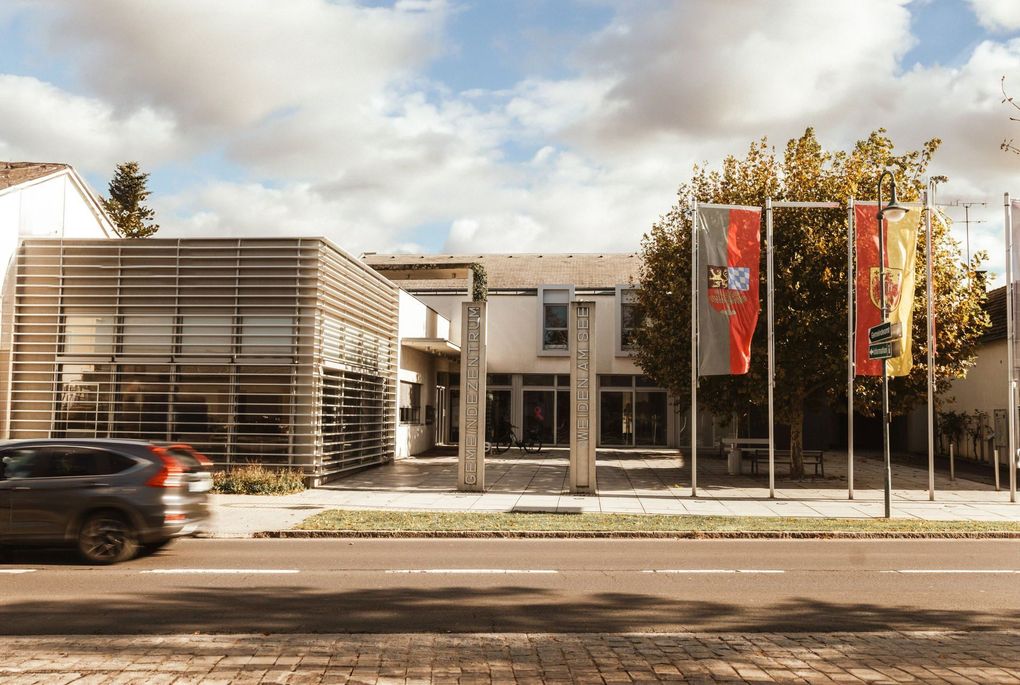 section-image