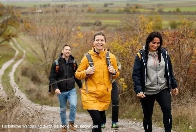 Person, Walking, Coat, Adult, Female, Woman, Male, Man, Jacket, Outdoors