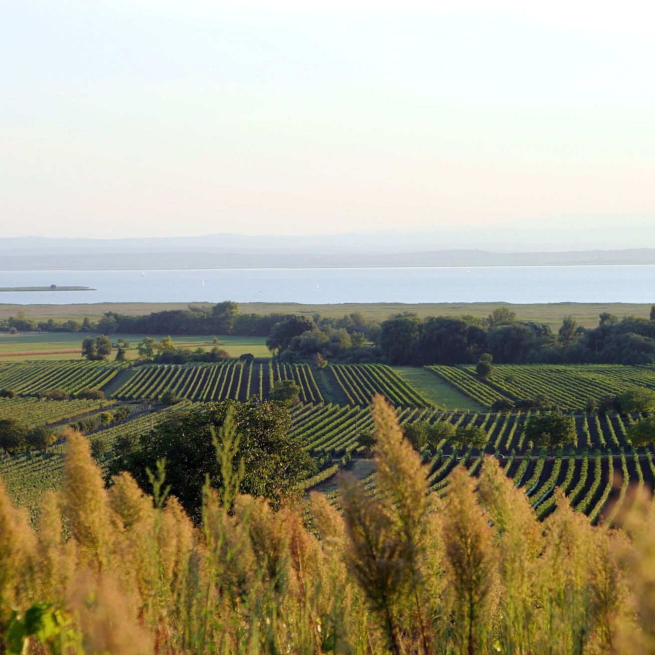 Bild enthält, Nature, Outdoors, Countryside, Rural, Farm, Scenery, Aerial View, Field