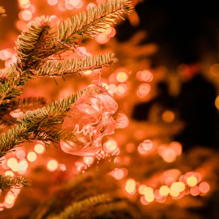 Ein durchsichtiger Schädel hängt an einem Zweig eines Weihnachtsbaums, umgeben von verschwommenen goldenen Lichtern.