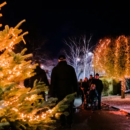 Eine Familie geht nachts auf einer Straße, vorbei an Bäumen mit gelben Lichtern, vor einem dunklen Himmel.