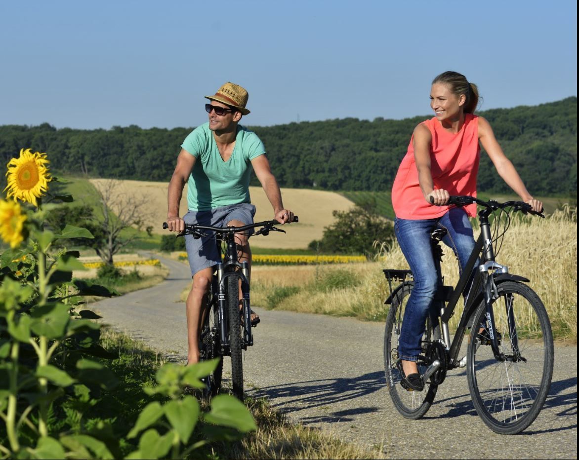 Zwei Personen, die auf einem Landweg Fahrrad fahren, mit Hintergrund von Sonnenblumen und hügeliger Landschaft.