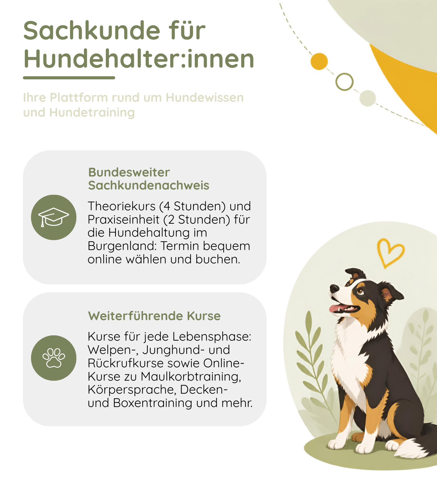 Ein Infografik für Hundebesitzer in Burgenland, Österreich, das eine Plattform für Hundewissen und -training präsentiert. Es zeigt einen Theoriekurs, praktisches Training und verschiedene Kurse für unterschiedliche Lebensphasen von Hunden. Ein Hund ist auf dem Gras sitzend abgebildet.