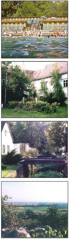 Bild enthält, Collage, Backyard, Yard, Vegetation, Pond, Tree, Cottage, Villa, Woodland, Grass