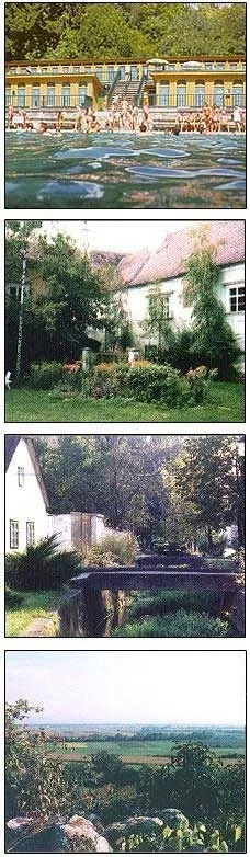 Collage, Backyard, Yard, Vegetation, Pond, Tree, Cottage, Villa, Woodland, Grass