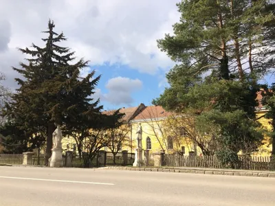 Tree, Fir, Conifer, City, Building, Housing, House, Villa, Person, Neighborhood